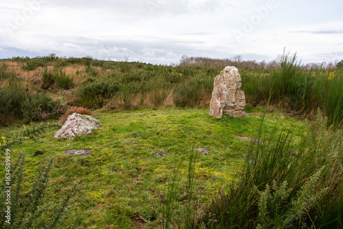 Menhir, dolmen, mégalithe