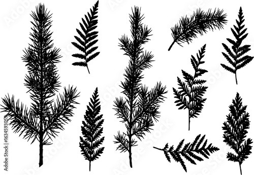 Tree outdoor travel black silhouette coniferous natural badges, tops pine spruce branch cedar and plant leaf abstract stem drawing vector illustration