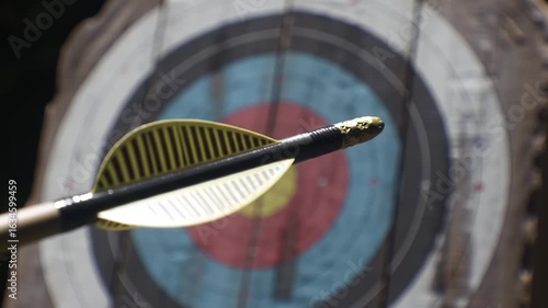 Arrow lodged in target