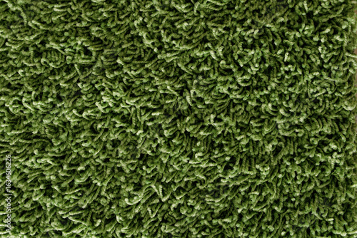 Quadro su tela High-resolution image of a green shag carpet texture