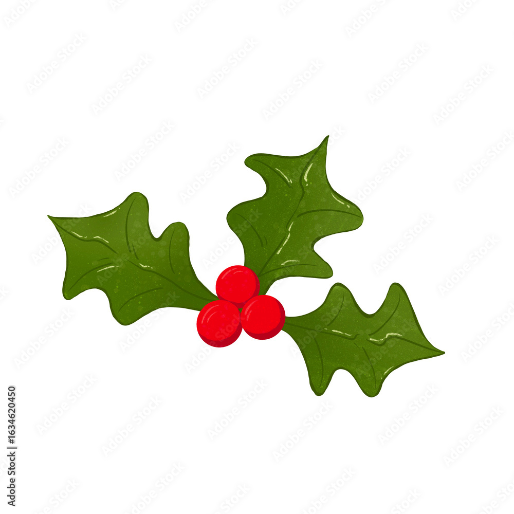 Fototapeta premium Christmas Day 
