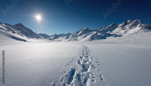 A vast expanse of pristine snow, a sunlit path leads through a mountain valley