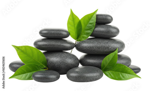 Smooth black spa stones with green leaves for relaxation and balance. Cut out PNG