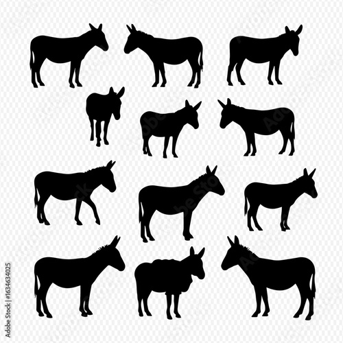 A collection of black donkey silhouettes in various poses, including a foal, on a checkered background.