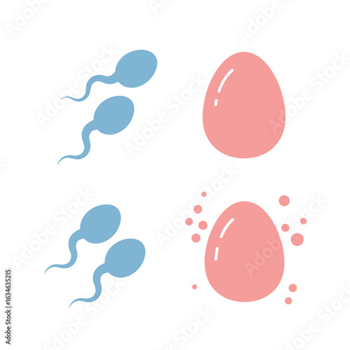 Illustration of Sperm and Egg Cells