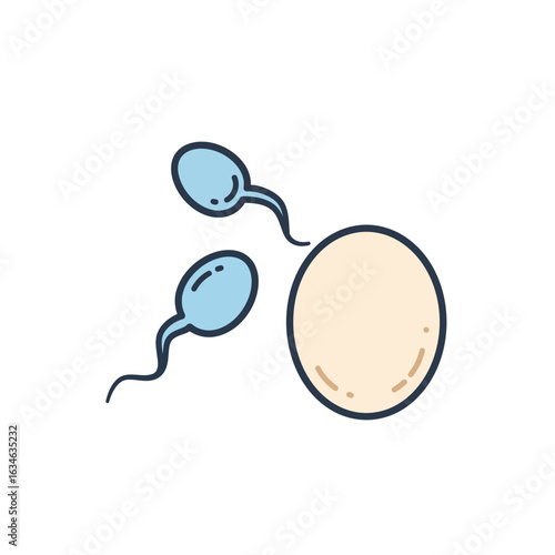 professional high quality Sperm and Egg