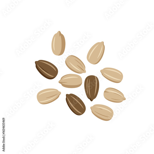 Illustration of Nuts in Various Shades of Brown