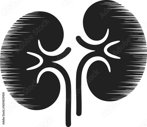 Kidney icon, renal organ illustration, anatomy symbol, medical graphic, body organ representation, health design element