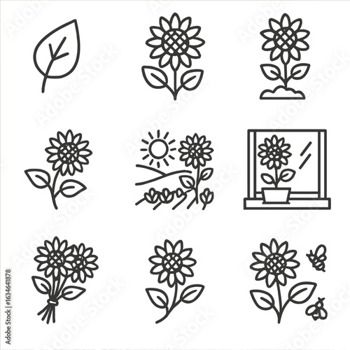 Vector bunch farm field thin icon sunflower motion windowsill collection line