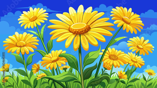 very beautiful Blooming yellow daisies under blue sky.
