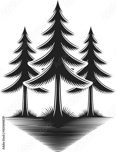 Pine tree silhouette, vintage engraved style, forest landscape, wildlife habitat, natural scenery, outdoor illustration, evergreen arboreal art