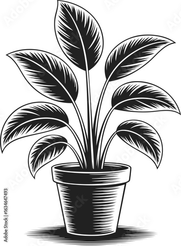 Potted office plant, indoor greenery, decorative flora, house plant, botanical decor for workspace or home