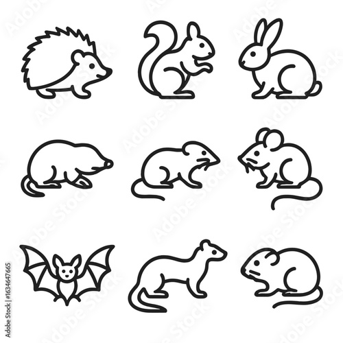 Mammal stoat garden rabbit vole bat squirrel shrew mouse icon hedgehog icons