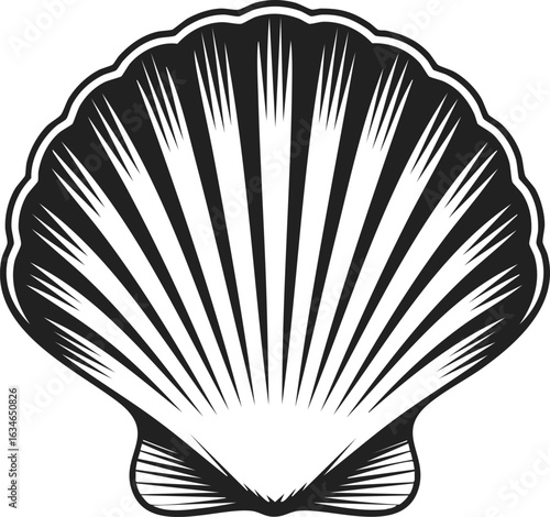 Scallop shell, marine mollusk, ocean dwelling creature, seashell art, nature illustration, coastal decor
