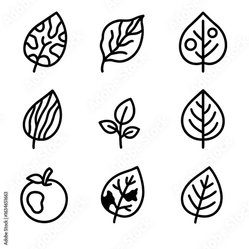 Diseases viral leaf spots plant dwarfing pattern discoloration color icon mosaic vector