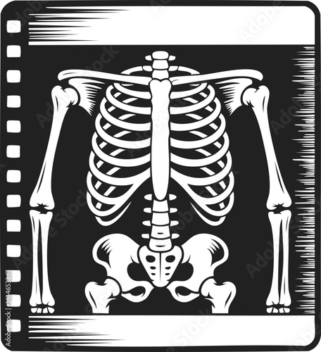 Skeleton, anatomical structure, human bones, x-ray design, medical illustration captured in a vintage engraved style