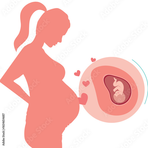 Pregnant woman silhouette with fetus – nurturing pregnancy illustration