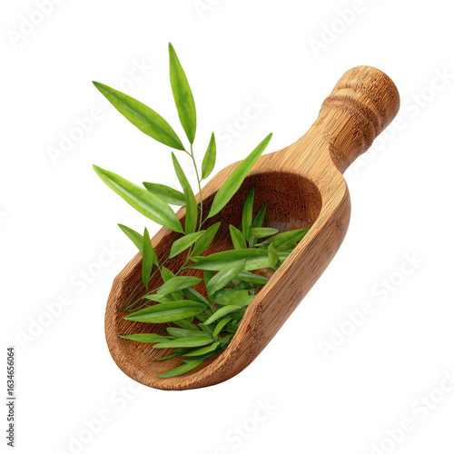 Eco-friendly wooden scoop holding vibrant green leaves, symbolizing natural living, herbal remedies, or sustainable lifestyle.
