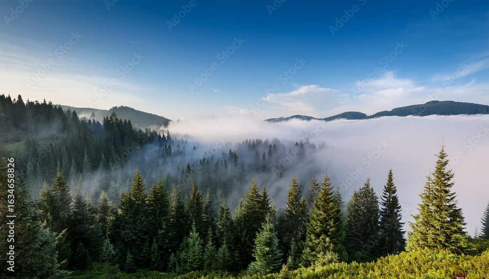 Obraz premium stunning landscape featuring fog covered evergreen trees surrounded by a serene and tranquil atmosphere