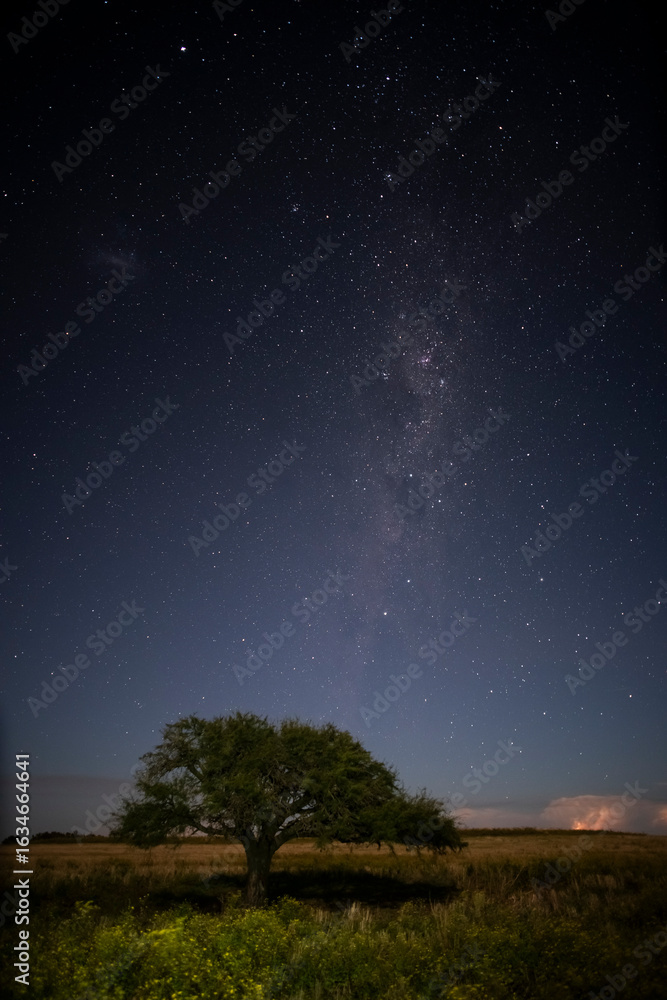 Naklejka premium Pampas landscape photographed at night with a starry sky, La Pampa province, Patagonia , Argentina.