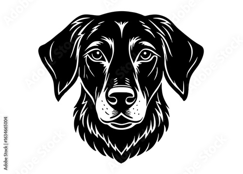 Striking black and white silhouette of a loyal dog s face with expressive eyes and floppy ears capturing canine spirit
