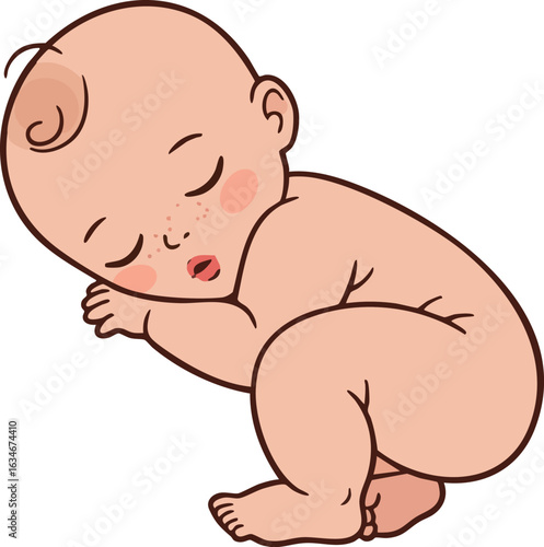 Sleeping baby curled up peacefully in calm rest vector illustration 