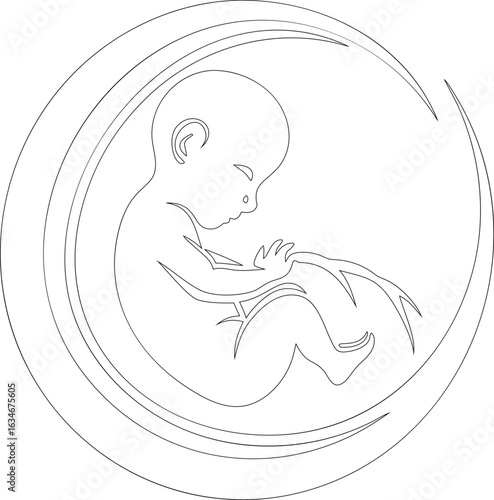 Baby Fetus Line Art, Baby