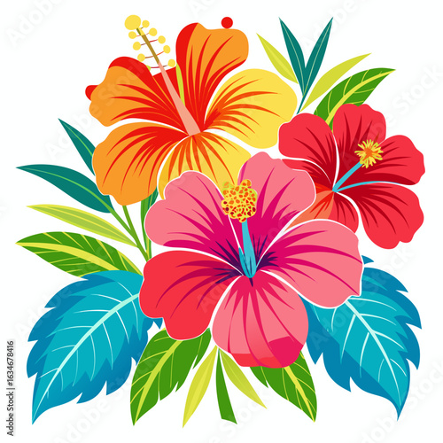 hibiscus flower vector illustration