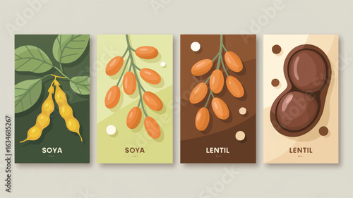 Four horizontal botanical illustrations of soya and lentil pods plant