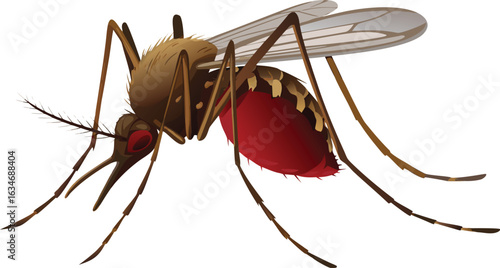 bloodfilled cartoon of a brown malaria mosquito eps vector on white background