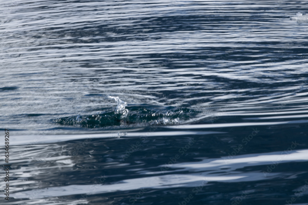 Naklejka premium Ripples in ocean water
