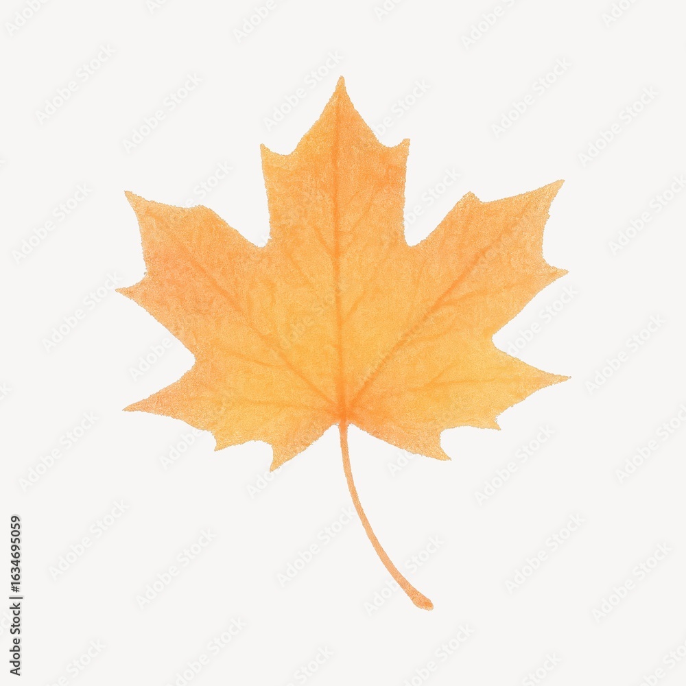 Obraz premium Vibrant autumn maple leaf illustration.