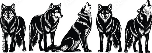 Wolf silhouette collection, black and white illustration, howling wolf, sitting pose, standing animal, wild nature, fur detail, vector