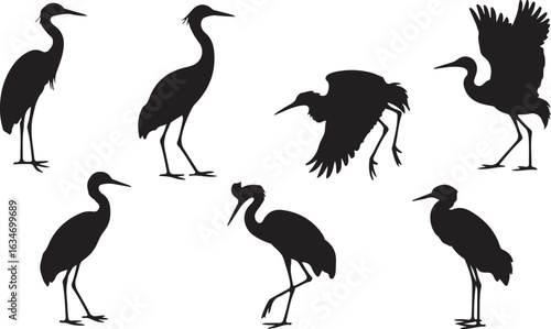 Collection of heron silhouettes in various poses. Set of seven elegant wading birds standing, walking, and landing.