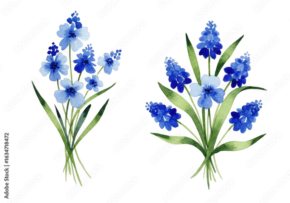 Fototapeta premium Blue flowers isolated on transparent background
