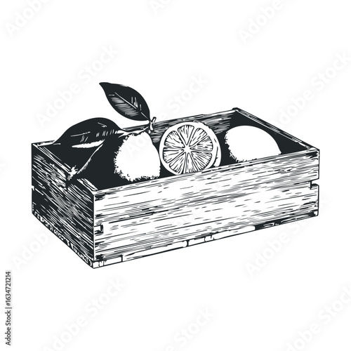Vintage style wooden crate with lemons and leaves illustration
