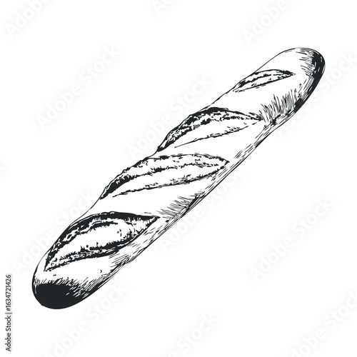 Hand-drawn baguette illustration: detailed black and white sketch of classic french bread