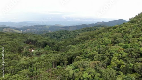 paisagem verde