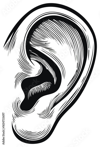 Human ear sketch engraving style vector illustration hearing organ audiology sense