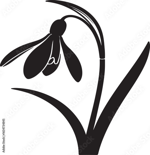 Black and white vector illustration of a spring snowdrop flower with delicate petals and leaves