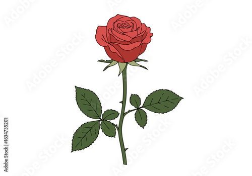 A stylized illustration of an Ecuador rose, symbolizing floral beauty. Clean lines and a soft pink background create a modern, elegant design suitable for various commercial applications.