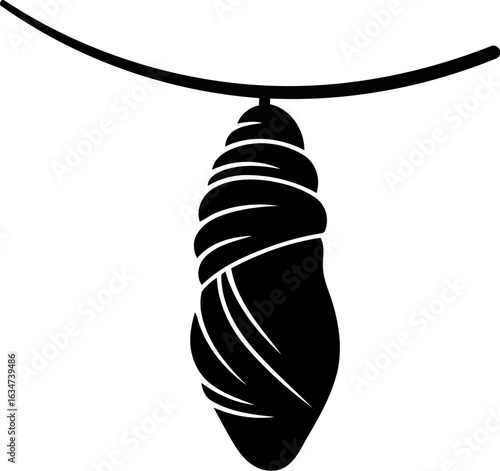 Black chrysalis hanging on wire transformation symbol