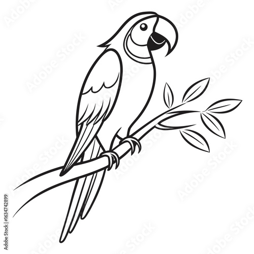 Minimalist line art parrot vector in black