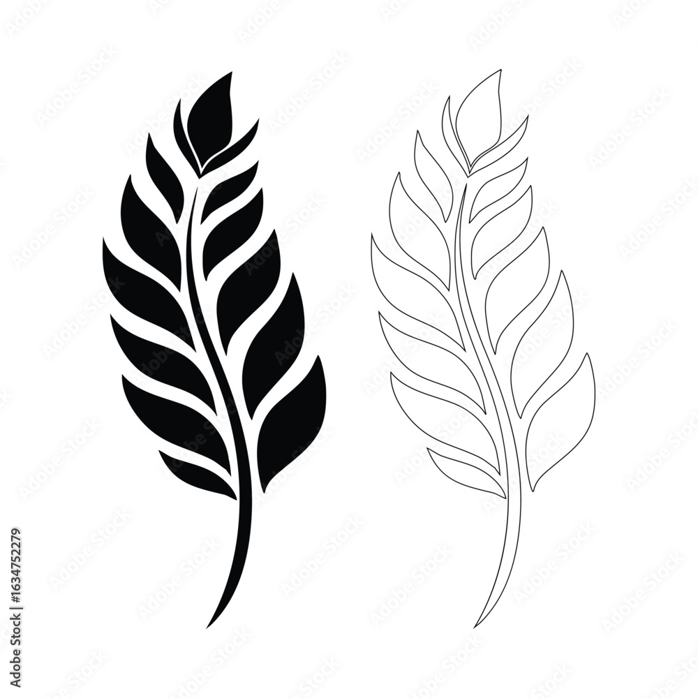 Fototapeta premium Black and white feathers