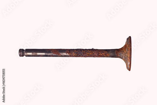 Принти на полотні Old used car engine valve isolated on white background.