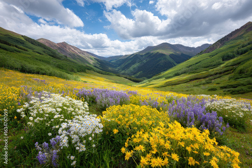 discover breathtaking summer landscapes of national parks in united states where untouched nature meets inspiring