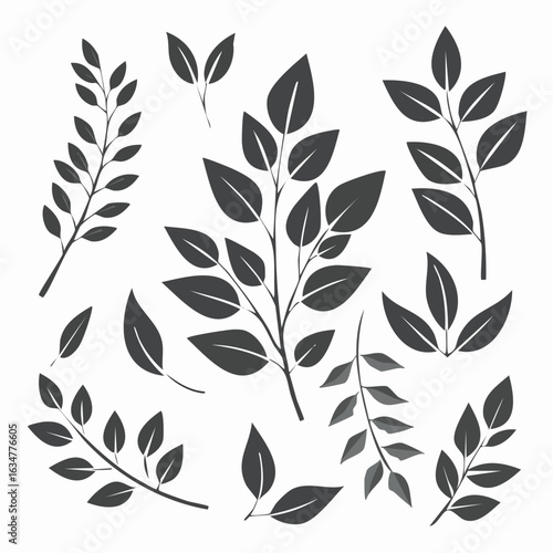 Monochrome minimalistische Blätter und botanische Zweige mit Stielen – Vektorillustration