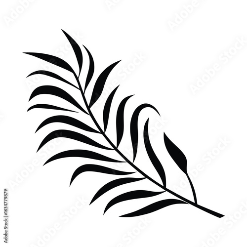 Palm leaf illustration