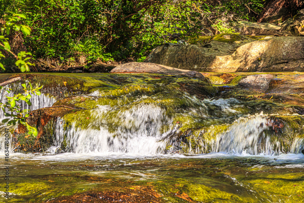 Fototapeta premium Landscape still shot of the Dure River in Brousse and Villaret in the South of France. Small waterfalls and undergrowth in Occitanie.