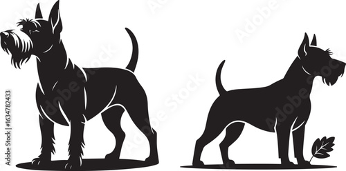 A striking vector art sticker featuring two proud terrier dog silhouettes in a classic show stance, isolated on white.